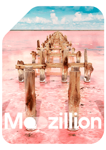 1769772619_Mozillion Travel SIM Cover - Senegal.png